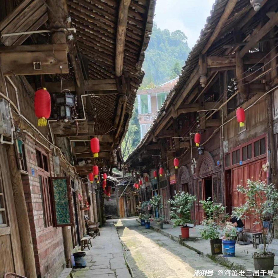 沙漠避难所